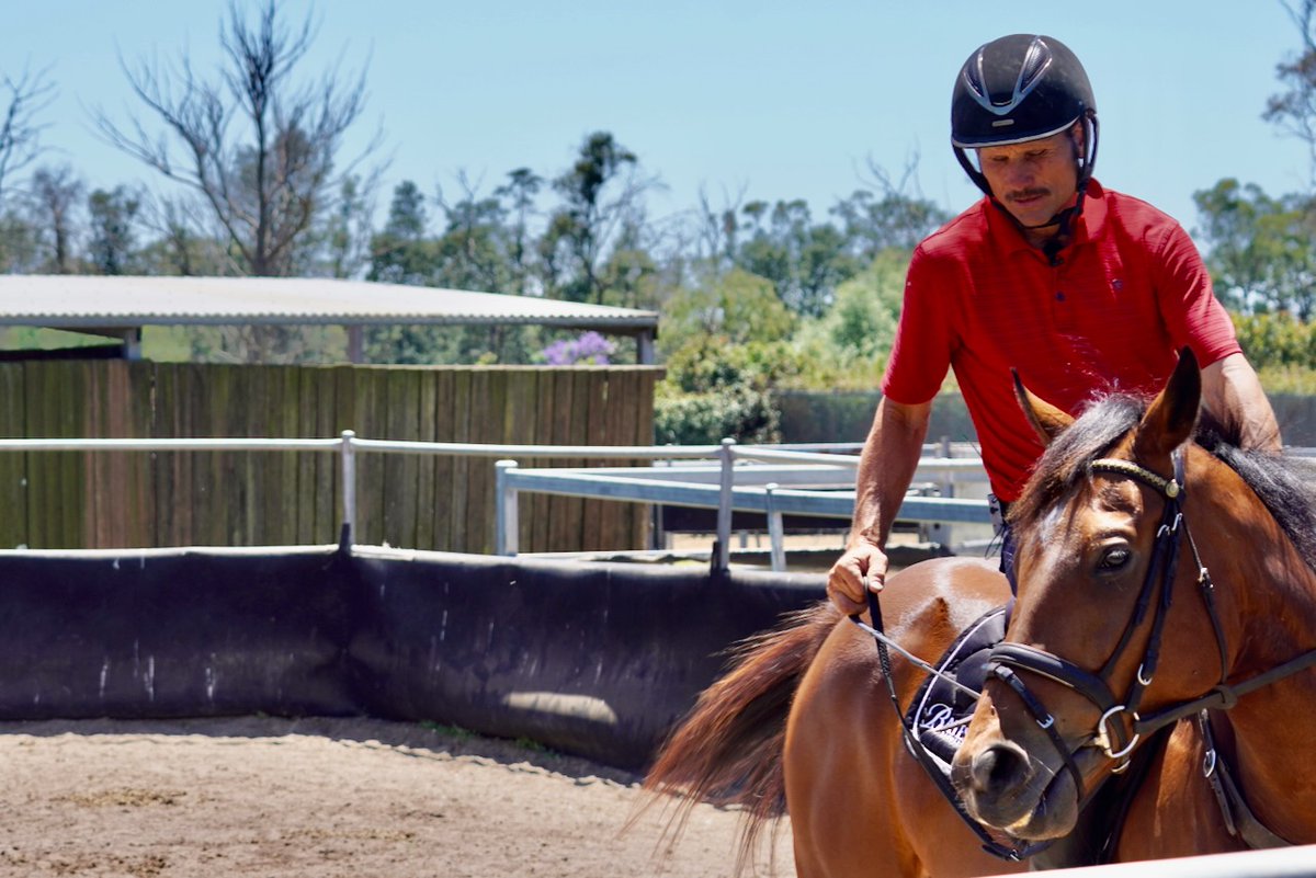 Ever feel like your OTTB only bends one way?

There’s a reason. Racetrack direction influences a horse’s balance and bend.
NSW and QLD horses favour the right. VIC, SA, WA, NT and TAS horses favour the left.

Visit TBALearning.com to learn more in Shane Rose's Selecting