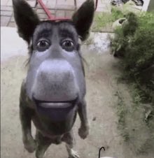 Me yelling “UNO!” with 15 cards up my ass