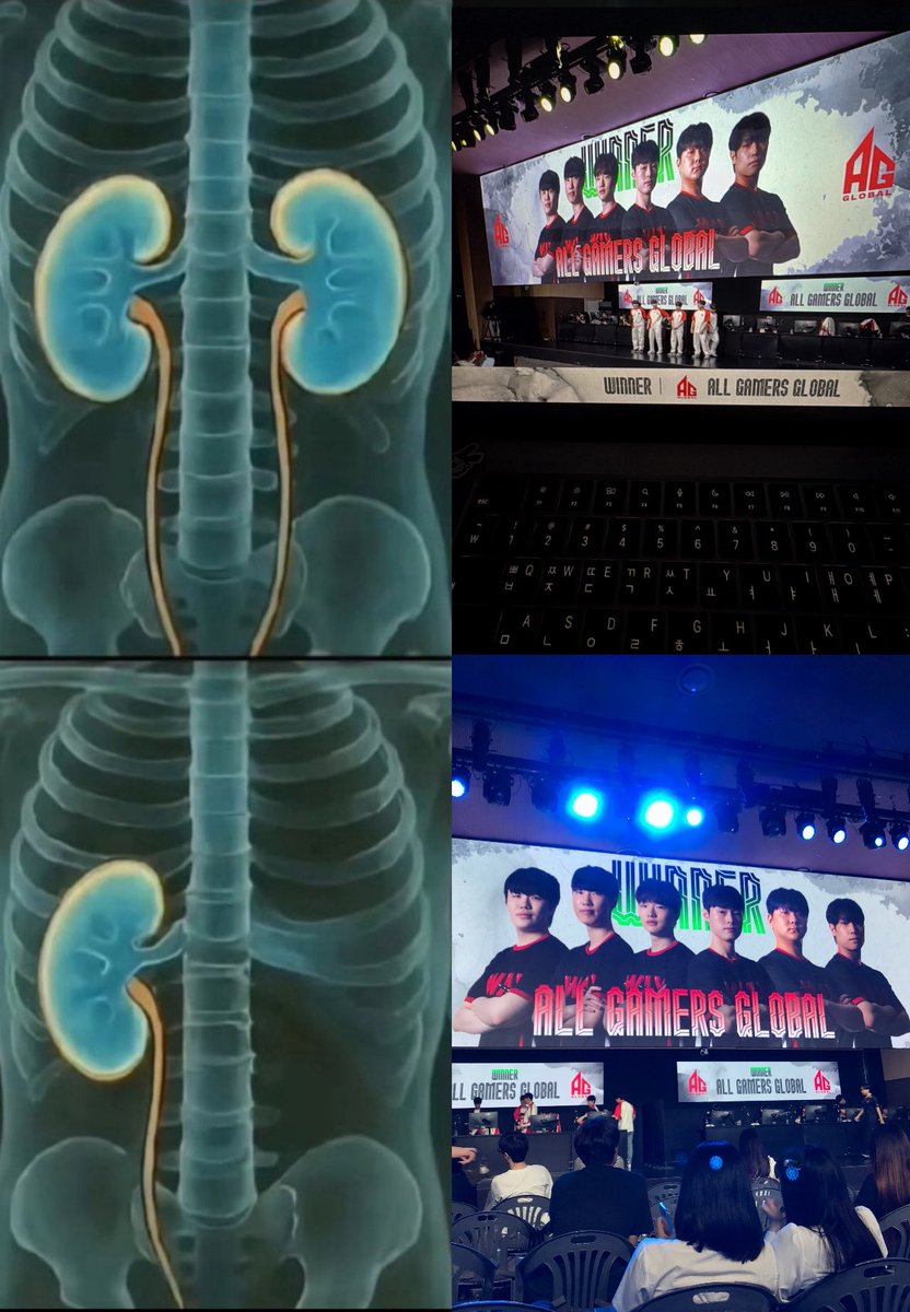 미미치 tweet media