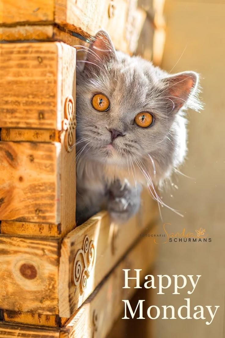 💛 𑜞᭄ MaryEly🌻 (@_maryely_) on Twitter photo #P_PTi 🌹
#EliFriends👠
<a href="/NM1k_/">༺ 💎𒆜𝑵𝑬𝑬𝑵𝑨𝑯𒆜💎 ༻</a>
<a href="/1Reett/">𝒜ℬ𝒟𝒪</a>
<a href="/1qqmr/">𝓦𝓐𝓐𝓓</a>
<a href="/1_i_1i/">🔥🅰️ 🇩 🅰️ 🇲🔥</a>
<a href="/1PTI_/">PTI PROMOTIONS</a>
<a href="/Znt31/">🦋Zeenat🦋</a>
<a href="/IAIJ1_/">Javed Iqbal</a>
<a href="/80pti/">Danakhan..💝</a>
<a href="/15Shz/">Shazia Ali</a>
<a href="/NM2k__/">ıllıllı 🌸 N͙E͙E͙N͙A͙H͙ 🌸 ıllıllı</a>
<a href="/5kshf/">syed kashif</a>
<a href="/MNPTi1/">𝗠𝘂𝗻𝘀𝗶𝗳🕊️⃟⋆ ابوسلم ≛⃝🔶</a>
<a href="/1fazl2/">فضـ𝓪𝓴𝓫𝓪𝓻ـل</a>
<a href="/19FKn/">فیصل خان (F🅰️ℹ️S🅰️L Kh🅰️ñ )</a>
<a href="/_Arsh1/">🅰🆁🆂🅷 🤍</a>
<a href="/Hfz48/">Hᴀғᴇᴇᴢᴀʜ Aᴋʙᴀʀ</a>
<a href="/Kn78k/">𝑲𝒉𝒂𝒊𝒓 𝑺𝒉𝒂𝒊𝒌𝒉</a>
<a href="/4mir_8/">Aamir Hayat Awan</a>
<a href="/N_az24/">Sana Malik</a>
<a href="/shz787/">🌟⭐️🌟🌟sʜᴀʜᴢᴀᴅ ᴍᴜɴɪʀ🌟⭐️🌟⭐️</a>
<a href="/sehr_ik/">سحر ملک 🦋🦋</a>
<a href="/Da__Eliz/">Eli👸</a>
<a href="/K2Kh0/">Umar</a>
<a href="/1Mlkani/">*•.¸♡𝙈𝙖𝙝𝙞𝙞 𝙈𝙖𝙡𝙞𝙠♡¸.•*</a>
<a href="/etc804/">Kashan Ali</a>
<a href="/_MaryEly_/">💛 𑜞᭄ MaryEly🌻</a>
<a href="/OdriSeva/">Odri Seva</a>
<a href="/Sc2017W/">SC2017</a>
<a href="/Y_O_U_S_1/">✨️ YOUSIF ✨️</a>
<a href="/00munsif/">ابوسلم 𝐌𝐮𝐧𝐬𝐢𝐟 𝐀𝐥𝐢</a>
<a href="/S2_CarlaS2/">꧁༺Carla༻꧂#EliFriends━★✼☆</a> #P_PTi 🌹
#EliFriends👠
<a href="/NM1k_/">༺ 💎𒆜𝑵𝑬𝑬𝑵𝑨𝑯𒆜💎 ༻</a>
<a href="/1Reett/">𝒜ℬ𝒟𝒪</a>
<a href="/1qqmr/">𝓦𝓐𝓐𝓓</a>
<a href="/1_i_1i/">🔥🅰️ 🇩 🅰️ 🇲🔥</a>
<a href="/1PTI_/">PTI PROMOTIONS</a>
<a href="/Znt31/">🦋Zeenat🦋</a>
<a href="/IAIJ1_/">Javed Iqbal</a>
<a href="/80pti/">Danakhan..💝</a>
<a href="/15Shz/">Shazia Ali</a>
<a href="/NM2k__/">ıllıllı 🌸 N͙E͙E͙N͙A͙H͙ 🌸 ıllıllı</a>
<a href="/5kshf/">syed kashif</a>
<a href="/MNPTi1/">𝗠𝘂𝗻𝘀𝗶𝗳🕊️⃟⋆ ابوسلم ≛⃝🔶</a>
<a href="/1fazl2/">فضـ𝓪𝓴𝓫𝓪𝓻ـل</a>
<a href="/19FKn/">فیصل خان (F🅰️ℹ️S🅰️L Kh🅰️ñ )</a>
<a href="/_Arsh1/">🅰🆁🆂🅷 🤍</a>
<a href="/Hfz48/">Hᴀғᴇᴇᴢᴀʜ Aᴋʙᴀʀ</a>
<a href="/Kn78k/">𝑲𝒉𝒂𝒊𝒓 𝑺𝒉𝒂𝒊𝒌𝒉</a>
<a href="/4mir_8/">Aamir Hayat Awan</a>
<a href="/N_az24/">Sana Malik</a>
<a href="/shz787/">🌟⭐️🌟🌟sʜᴀʜᴢᴀᴅ ᴍᴜɴɪʀ🌟⭐️🌟⭐️</a>
<a href="/sehr_ik/">سحر ملک 🦋🦋</a>
<a href="/Da__Eliz/">Eli👸</a>
<a href="/K2Kh0/">Umar</a>
<a href="/1Mlkani/">*•.¸♡𝙈𝙖𝙝𝙞𝙞 𝙈𝙖𝙡𝙞𝙠♡¸.•*</a>
<a href="/etc804/">Kashan Ali</a>
<a href="/_MaryEly_/">💛 𑜞᭄ MaryEly🌻</a>
<a href="/OdriSeva/">Odri Seva</a>
<a href="/Sc2017W/">SC2017</a>
<a href="/Y_O_U_S_1/">✨️ YOUSIF ✨️</a>
<a href="/00munsif/">ابوسلم 𝐌𝐮𝐧𝐬𝐢𝐟 𝐀𝐥𝐢</a>
<a href="/S2_CarlaS2/">꧁༺Carla༻꧂#EliFriends━★✼☆</a>