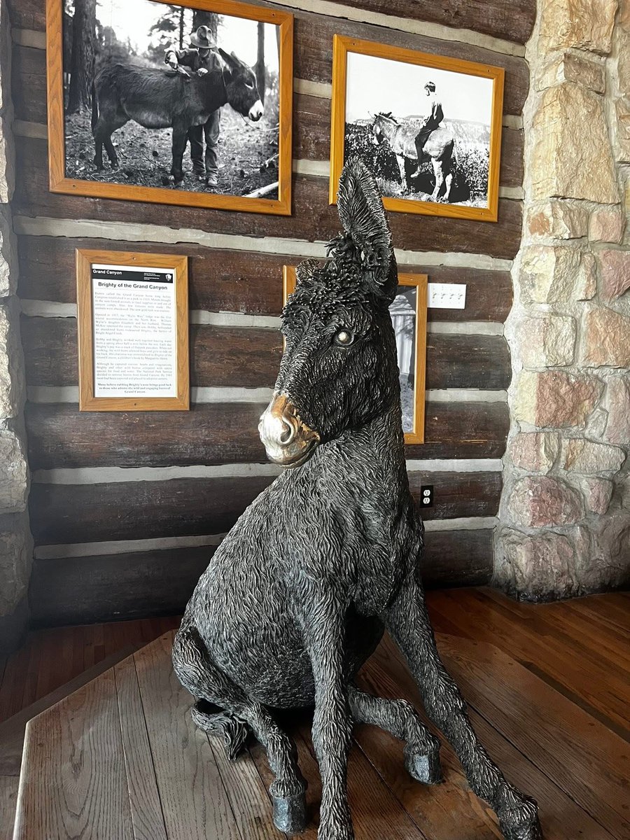 AZSecretary's tweet image. Devastated to hear that a historic Arizona treasure, the North Rim’s iconic Grand Canyon Lodge, was destroyed by fire. Keeping all firefighters and those directly impacted by this tragedy in my prayers (photo credit: AZ State Historic Preservation Office).