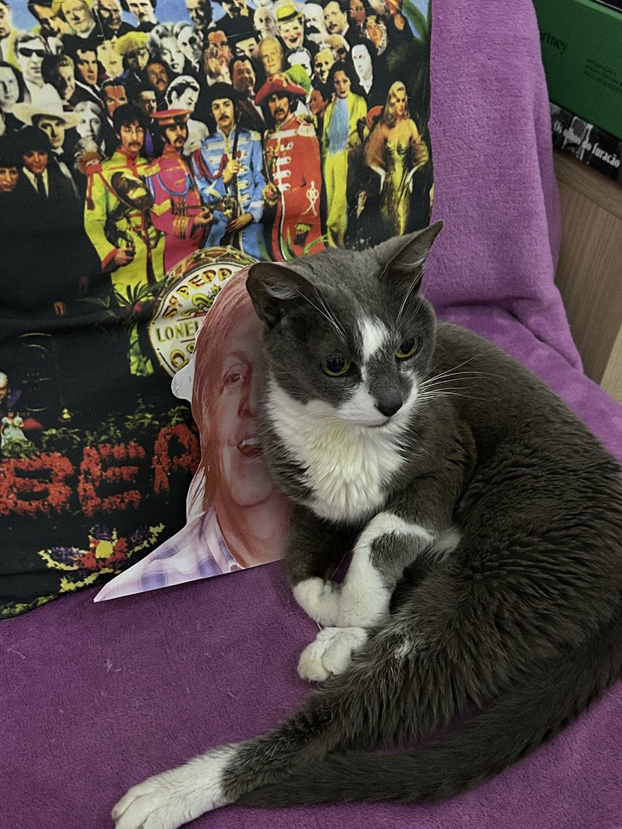 mccartneywho's tweet image. Saudades da maior paulete que eu já conheci ❤️‍🩹