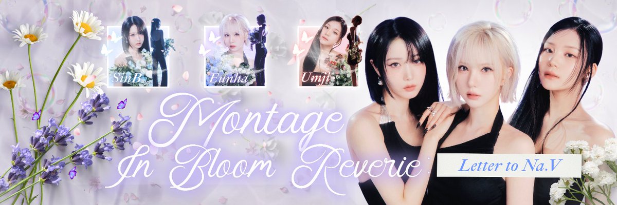 ଓ༉‧.⭒ֶָ֢⋆.나비의 속삭임, 𝗕𝗘𝗕𝗜𝗭 🦋༘⋆ tweet media