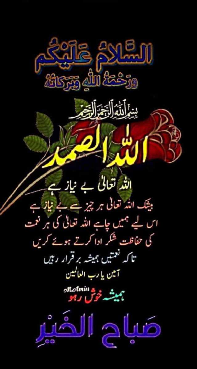 Javed60M's tweet image. السلام علیکم و رحمت اللہ و برکاتہ
صبح بخیر