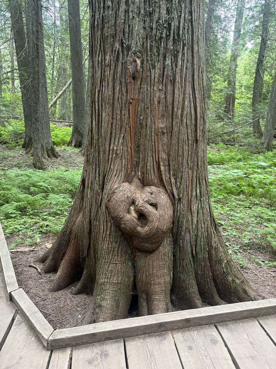 btw found this last week if u even care