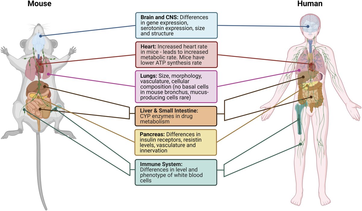 Science Advancement and Outreach (@saoscience) on Twitter photo In this new review by <a href="/AFR_UK/">AnimalFreeResearchUK</a>, <a href="/laurenhope97/">Lauren Hope</a> and Dr. Jarrod Bailey discuss why species differences critically matter in biomedical research and identify strategies to advance human-relevant methodologies.
journals.sagepub.com/doi/10.1177/02… In this new review by <a href="/AFR_UK/">AnimalFreeResearchUK</a>, <a href="/laurenhope97/">Lauren Hope</a> and Dr. Jarrod Bailey discuss why species differences critically matter in biomedical research and identify strategies to advance human-relevant methodologies.
journals.sagepub.com/doi/10.1177/02…