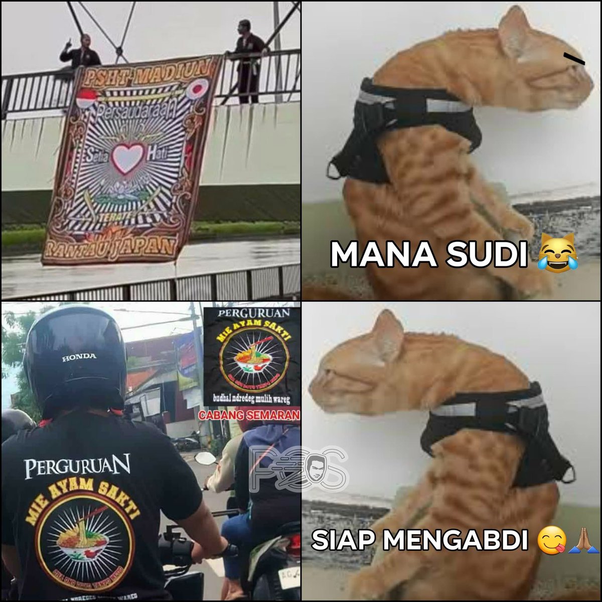 qrivasi's tweet image. 