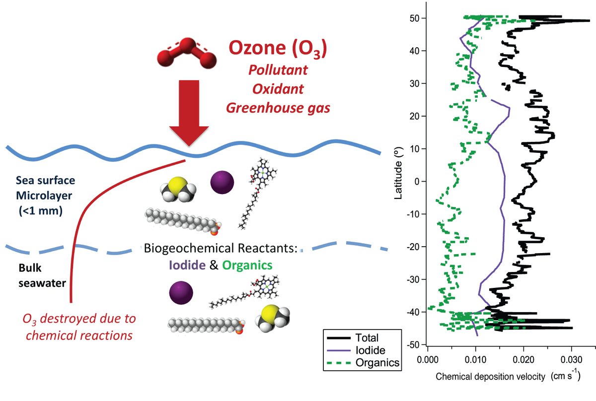 SOLAS_IPO's tweet image. Paper highlight: Yang, M.X., Phillips, D.P., Hopkins, F.E., et al. (2025). Marine biogeochemical control on ozone deposition over the ocean. Geophys. Res. Lett., 52(12), e2024GL113187. doi.org/10.1029/2024GL…