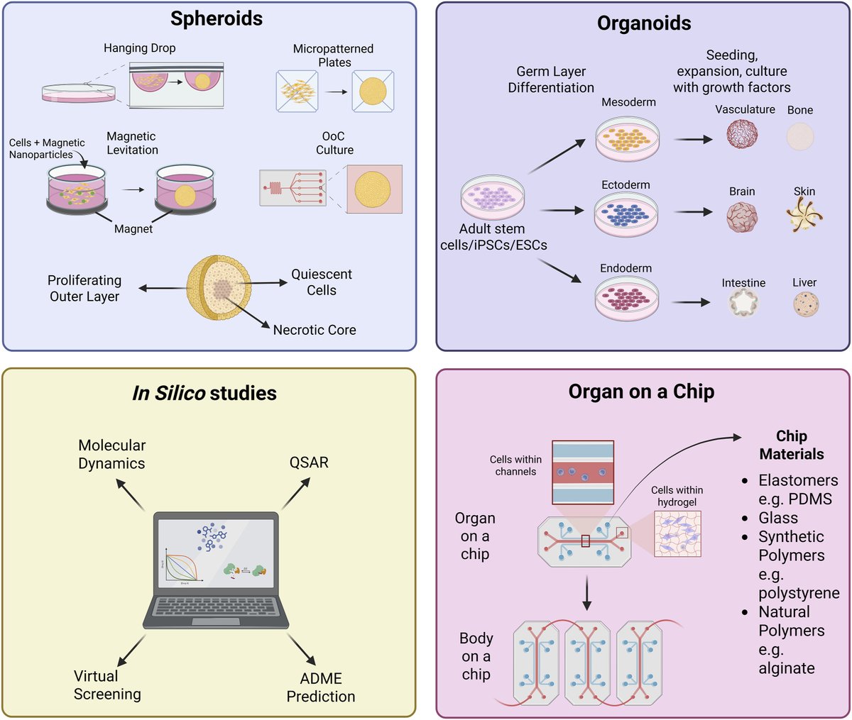 SAOscience's tweet photo. In this new review by @AFR_UK, @laurenhope97 and Dr. Jarrod Bailey discuss why species differences critically matter in biomedical research and identify strategies to advance human-relevant methodologies.
https://t.co/NB4FMHMkD8