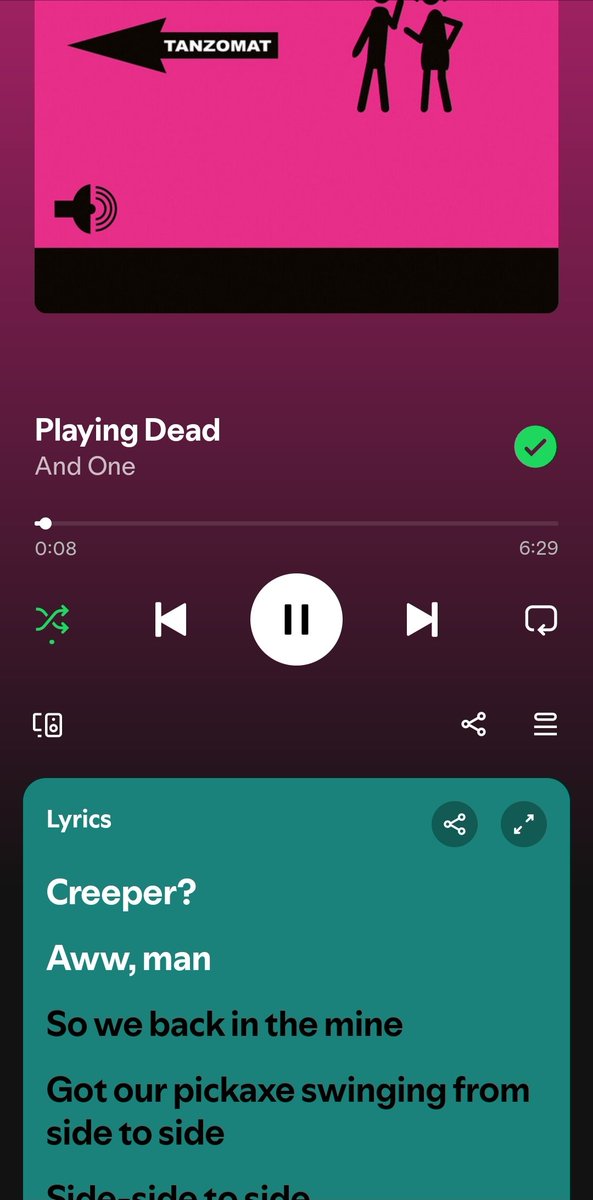 I don't remember these lyrics