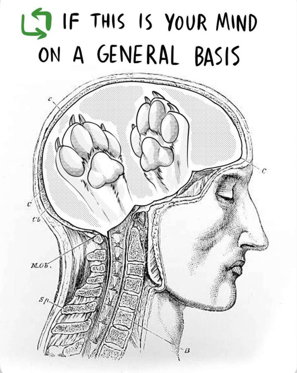 You know it to be true 🧠
