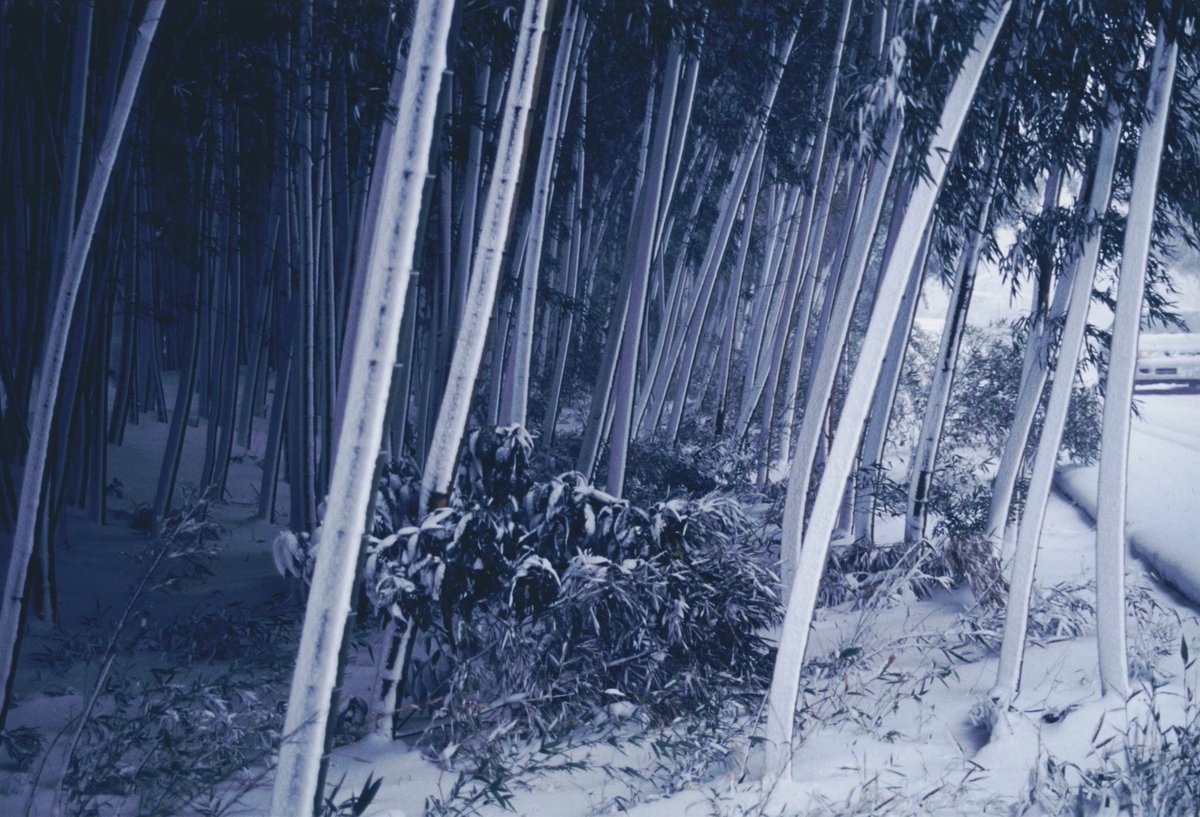 MAFF_JAPAN's tweet image. 農村の水田や用水路では、四季折々の美しい景色を見ることができます。
映えスポットにもなる豊かな穀倉地帯に、ぜひ足を運んでみてはいかがでしょうか📷
今週のWebマガジン『aff』では、用水路や水田を整備する #土地改良区 の活躍とそれが織りなす景色をご紹介します⏬
maff.go.jp/j/pr/aff/2507/…