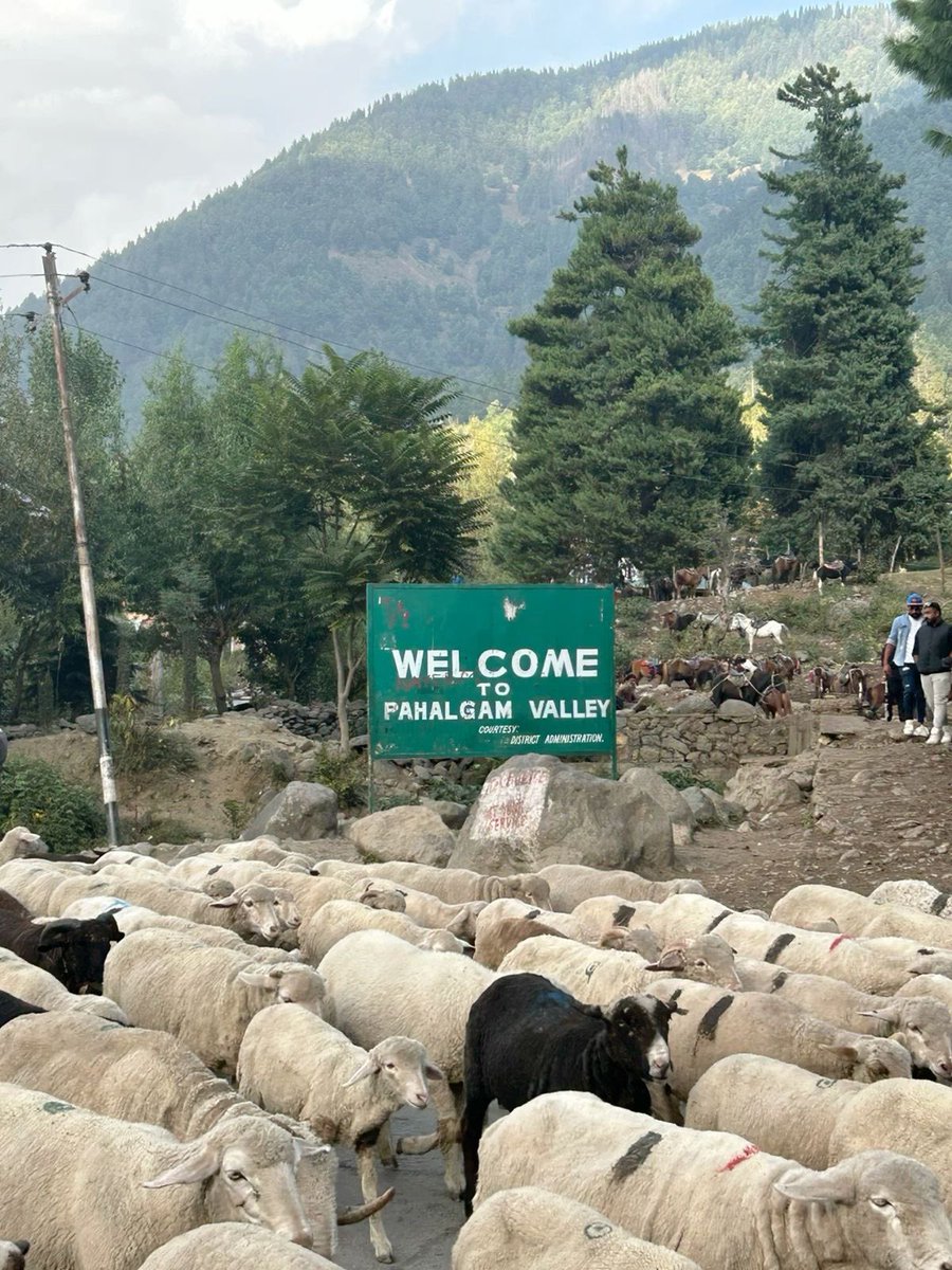 Good morning ☀️ Start your day with a quiet heart and a mind full of peace. Everything else will fall into place😊