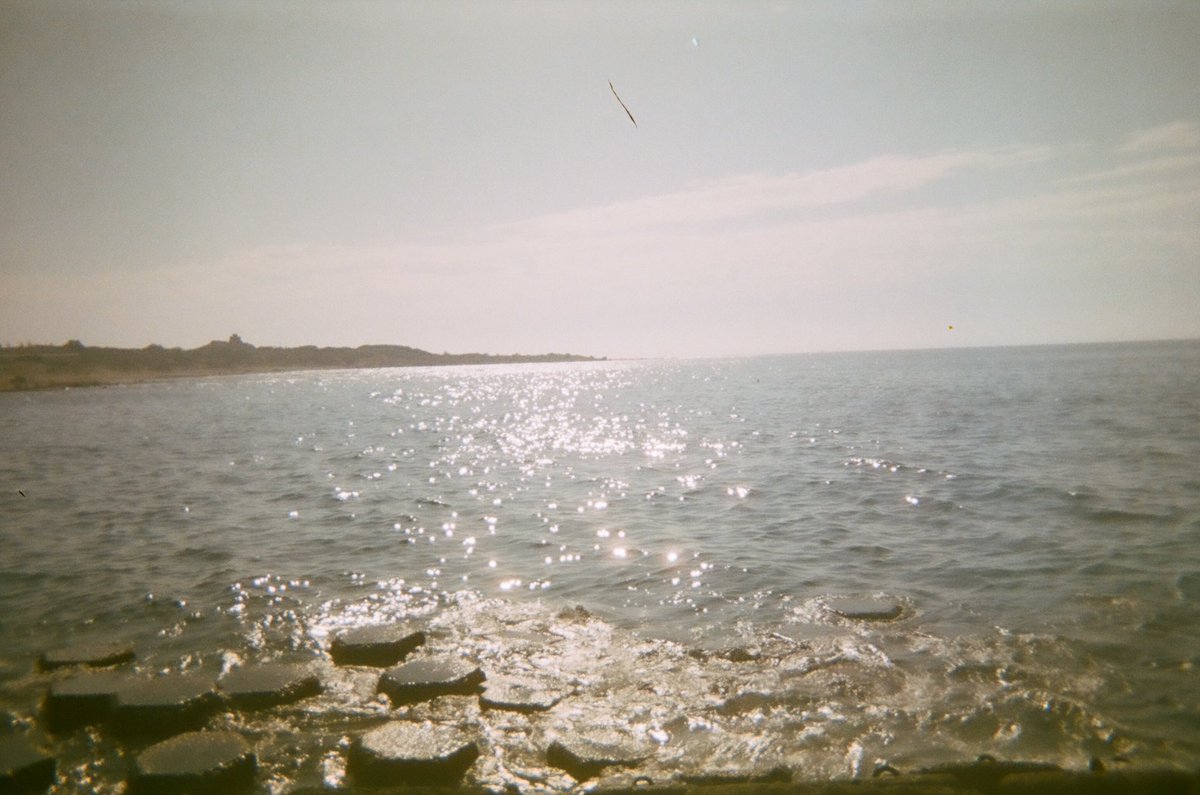 Byakko1704's tweet image. Found a Quicksnap from 7 years ago at home
I didn't expect the photos could be developed🥹❤️
So many memories