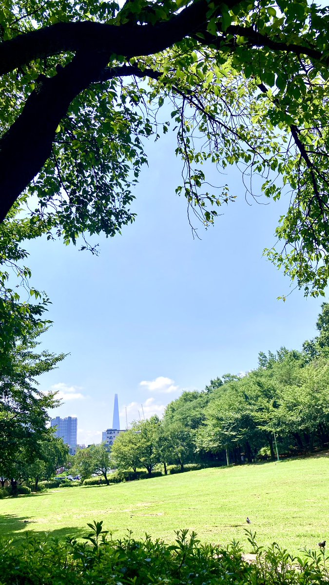 모든 일은 결국 잘 될거라고 믿어요.
과정에 어려움은 지나가는 것이고,
결국은 선한 목표를 향한 열망이 영원한 것이라
강력히 믿고 있어요🩵
그리고 생각보다 악을 추구하는 자들은
마치 머리만 땅에 숨긴 타조처럼
시야가 제한적이라는 것을 삶을 통해 배웠어요!
멀리 보고 높이 보며 용기내요🍀