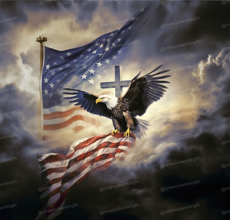 Good night everyone 🇺🇸🇺🇸