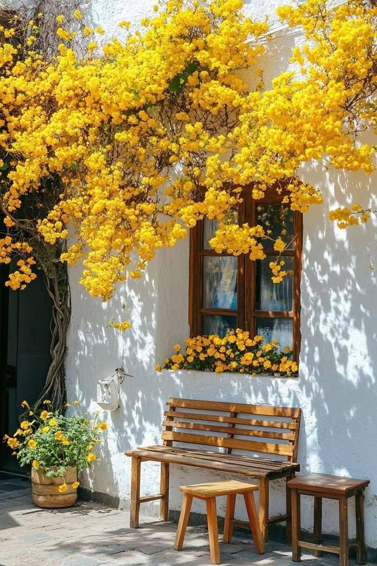 Good morning friends , be happy and spread happiness 🌺💐🌹🦋🍇