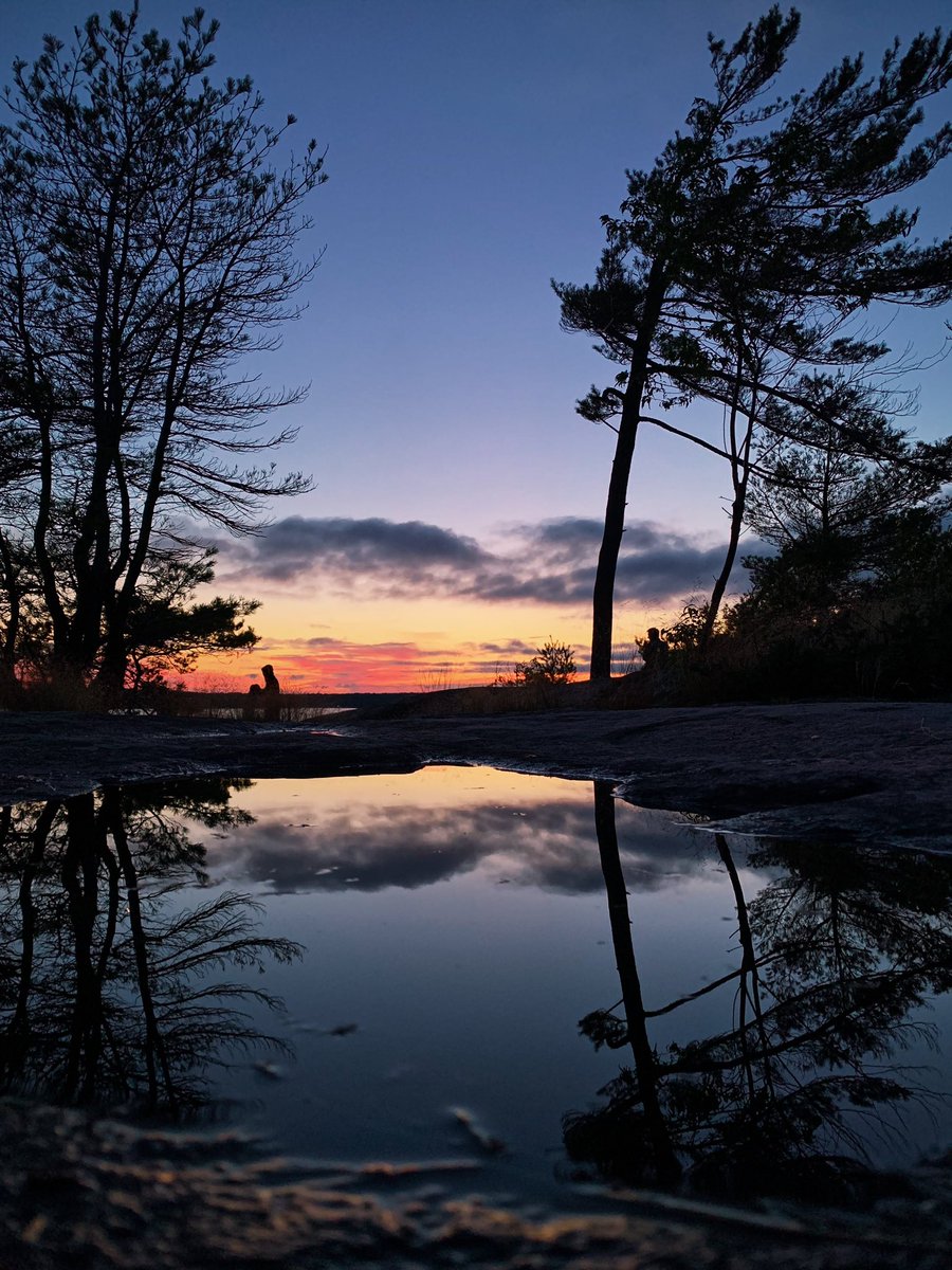 turtology's tweet image. Off to one of my favourite places this week. Who knows where? (Located in Ontario, Canada)