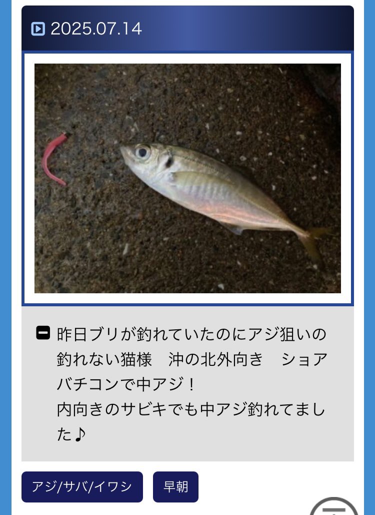 猫が癒しのアジングやったって良いやないかーい！！
にゃ。