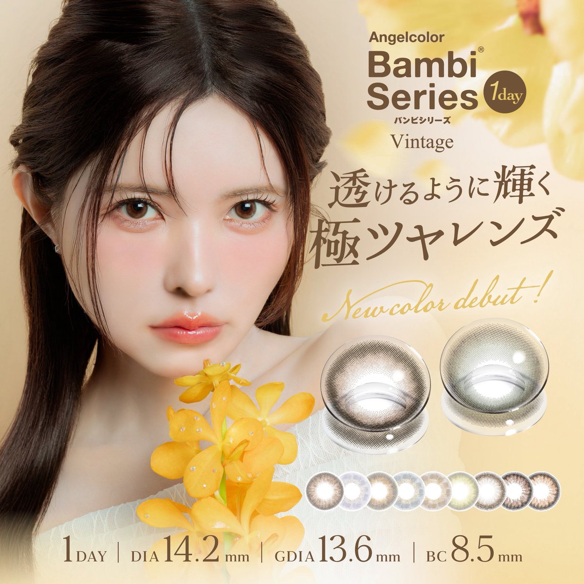 昭和レトロ　ゴールド　バンビ 新発売】 ＼益若つばささんプロデュース／ 『Bambi series vintage