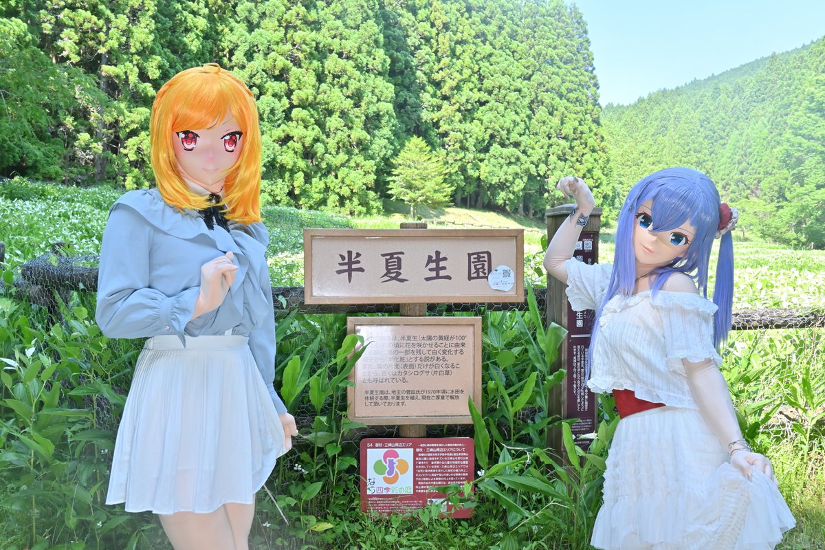 夏、ストレチアさんと🌿

(@kig_strelitzia
撮影 <a href="/miruiwaku_kig/">ミル</a>