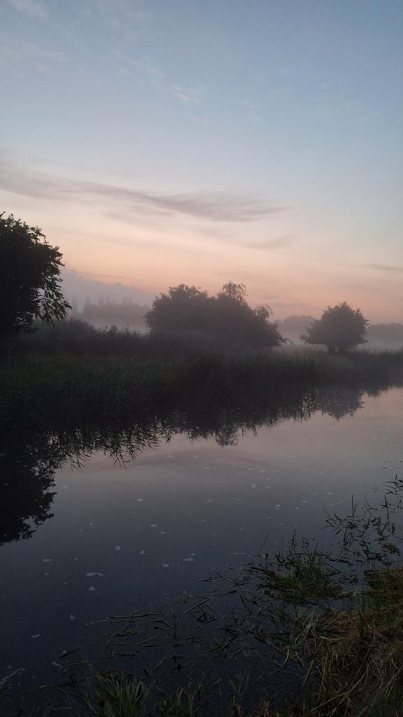 KeesAddy's tweet image. Goedemorgen.