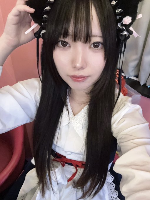 みけねこカフェ秋葉原店のツイート