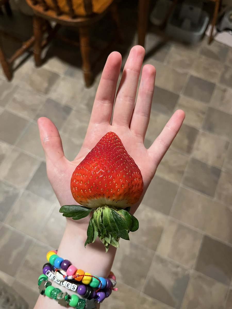 holy fuck this strawberry is giant