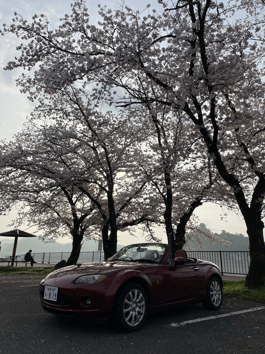 hakutantan's tweet photo. 名前：世紀末覇者みっちゃん
年齢：33
性別：男性
住み：岐阜
身長：178cm
車種：w650,GROM,ncロードスター
好き：ドライブと旧車！
嫌い：すり抜け、煽り運転
一言：家に着くまでがツーリングです！
#バイク乗りとして軽く自己紹介
#車好きと繋がりたい 
#バイク好きと繋がりたい
#w650
#ロードスター https://t.co/VBxVJlScN0