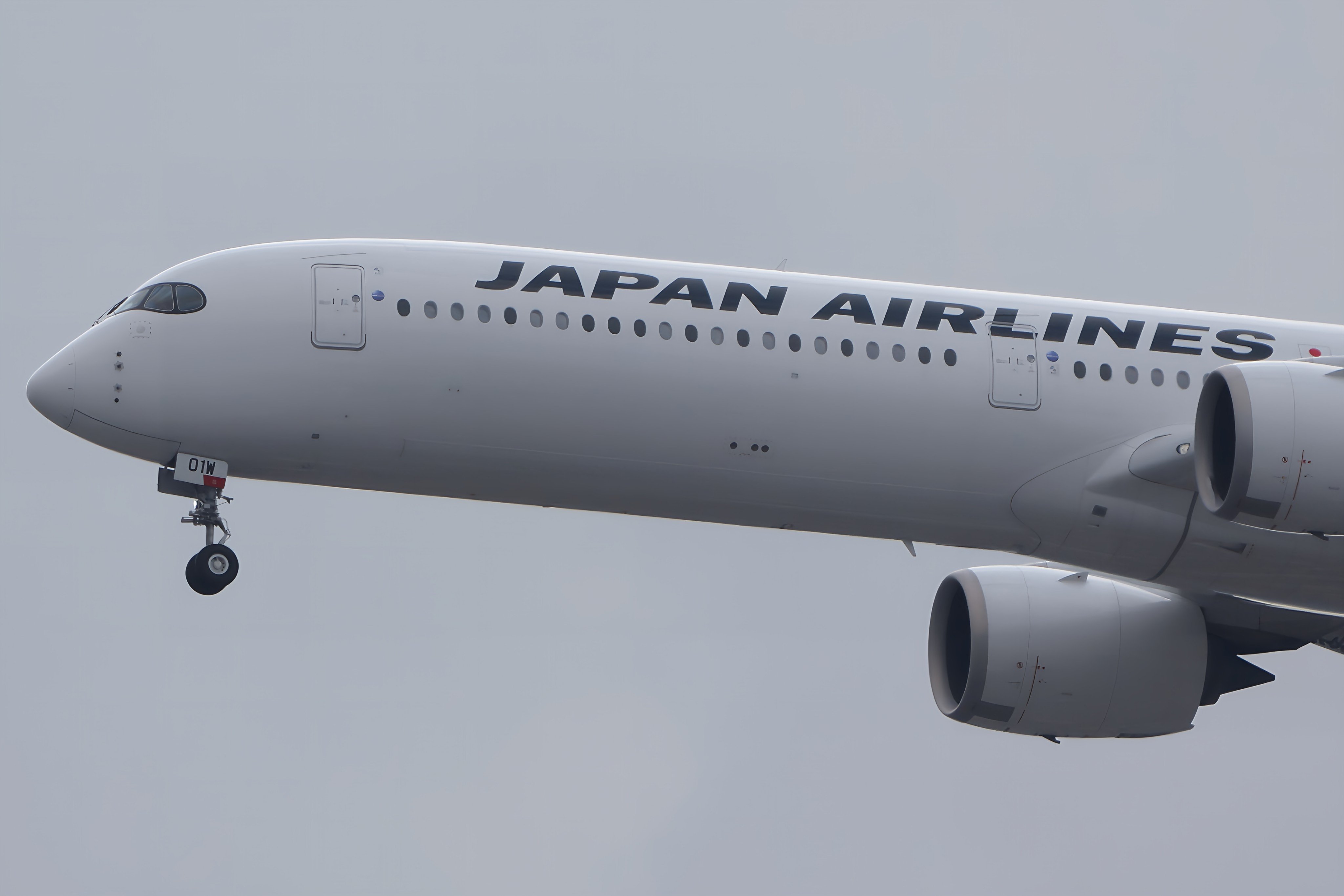 ※専用　JAL AIR JAPAN JA01WJ JA862J JA803A AirJapan、2号機はANA787初号機 JA801A前倒し導入