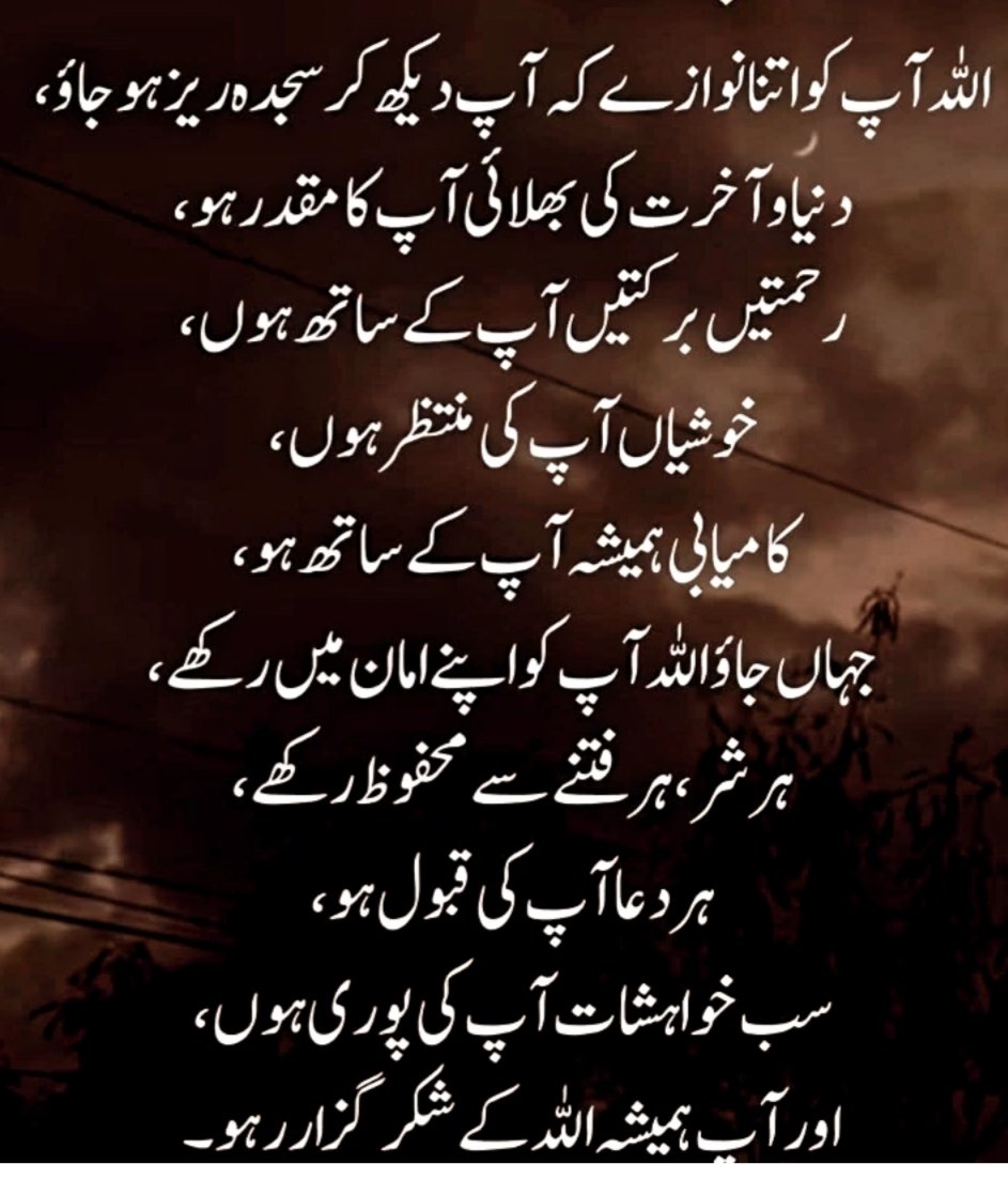 Asma Rajput (@as01ra) on Twitter photo 