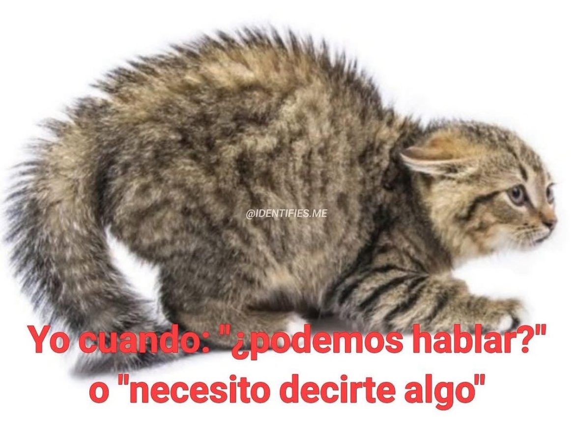 abr6zame's tweet image. `` Yo ese