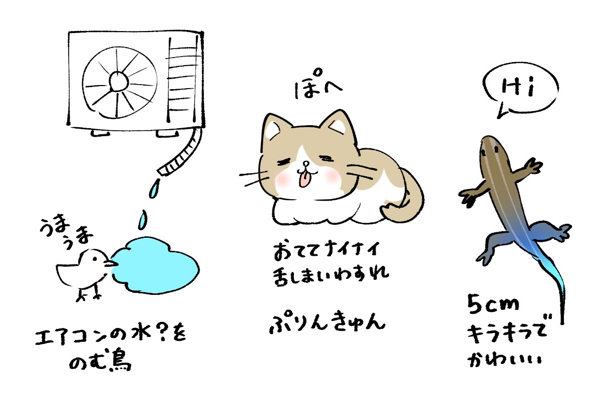 なんか癒されたらくがき🐈