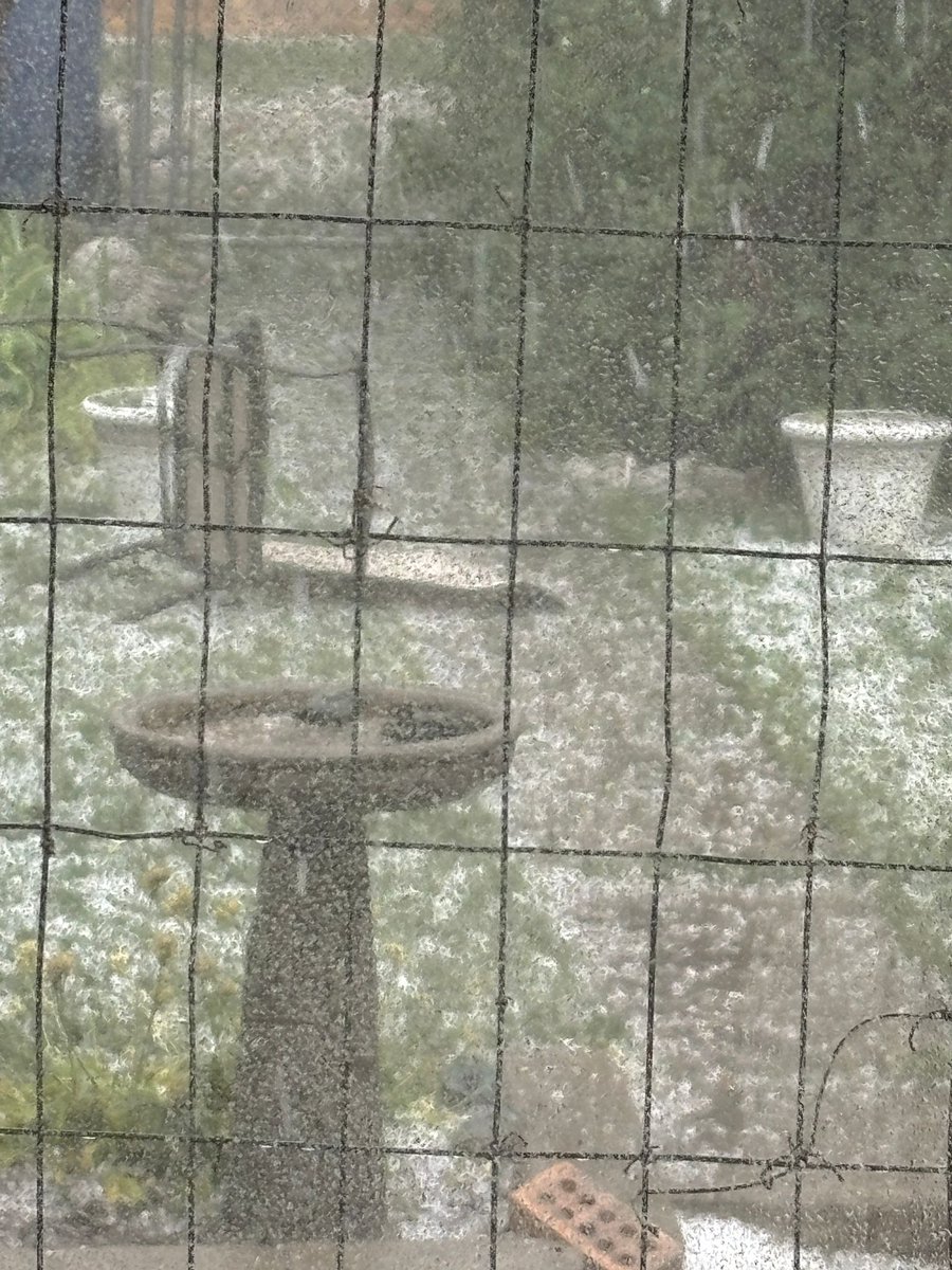 Gates Guarin tweet media