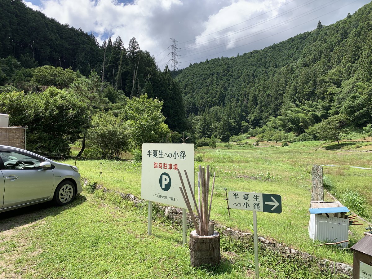 mountTaK's tweet photo. 半夏生を見てきました🚶葉っぱが半分くらい白くなるから、半分化粧で半化粧からの半夏生となったみたいですね🌿 https://t.co/Fbk96I7Smc