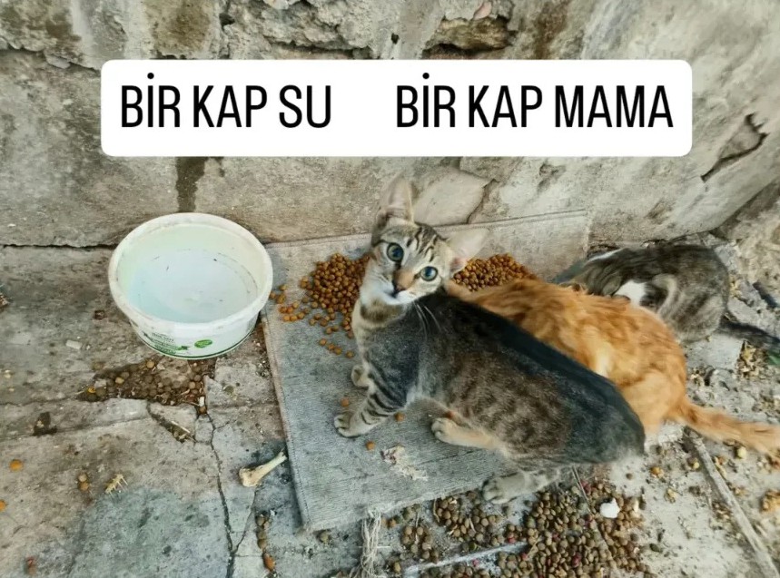 Lütfen duyarlı olalım...