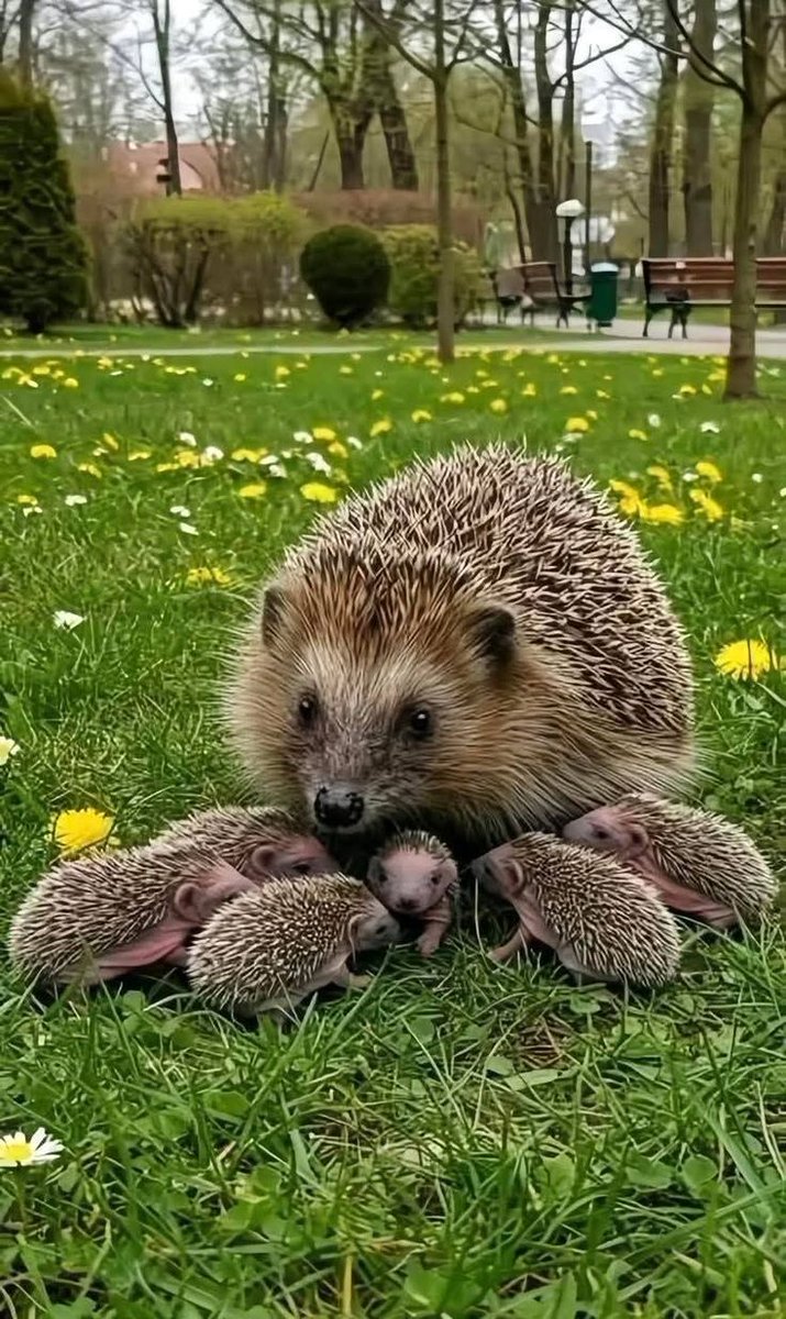 Good Morning.🌞🌄