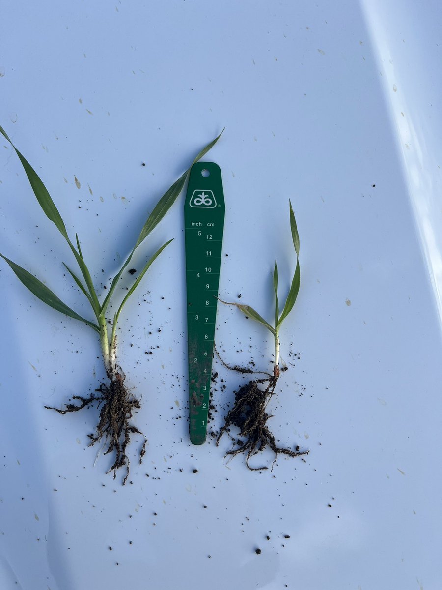 Jade Clark tweet media