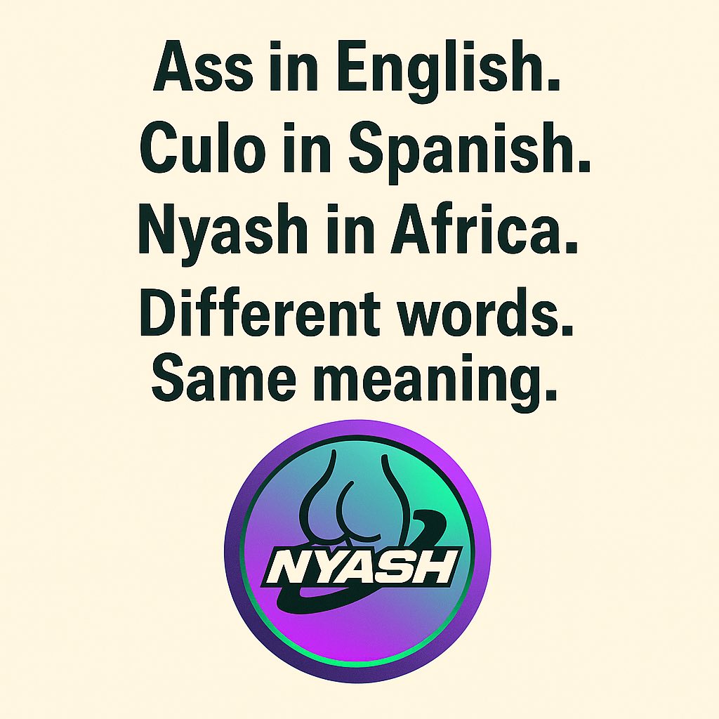 NYASH on SOL (@nyash_sol) on Twitter photo 