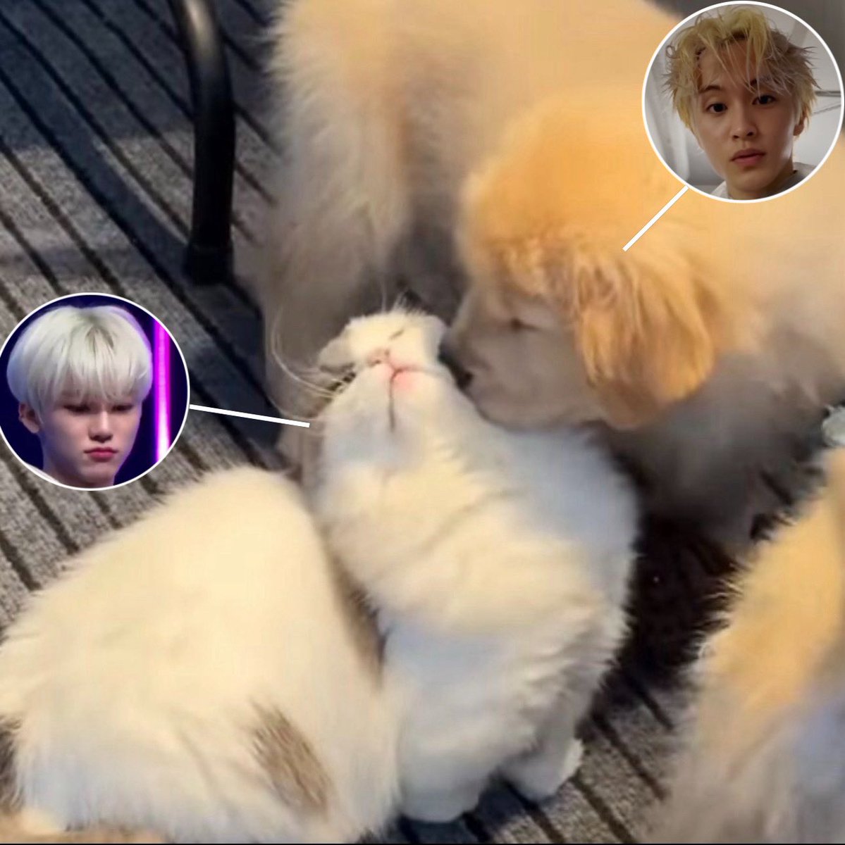 ขอโทษคับ สะดุดล้มตรงแก้มคุณพอดี