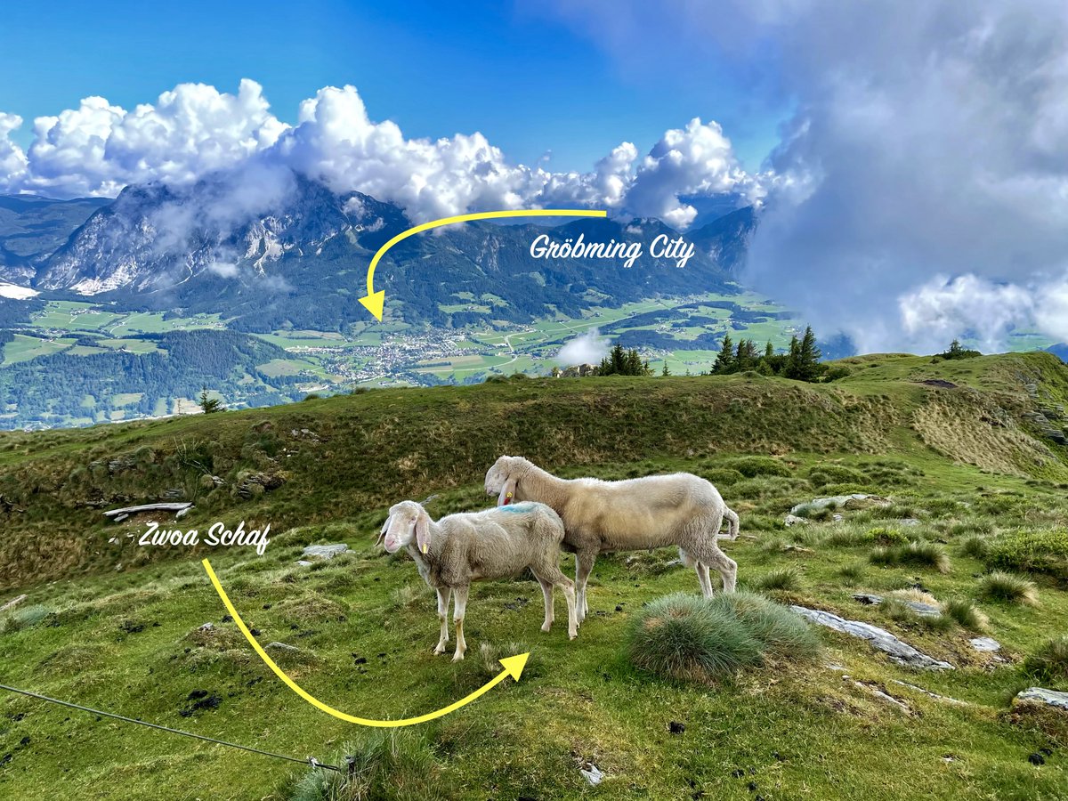 Auf geht's Teimlein, eini mit uns, in de neie Wochn. 😃

Mim Blick vom Kochofen (1916m) aufs steirische Ennstal, wünscht da Michi samt seine zwoa Fotomodels (Vroni und Lisal) an Guadn Moang. 🤗

Nauf mit unsre Kaffäähaferln und schwoam man owe, an Muntamacher. ☕️