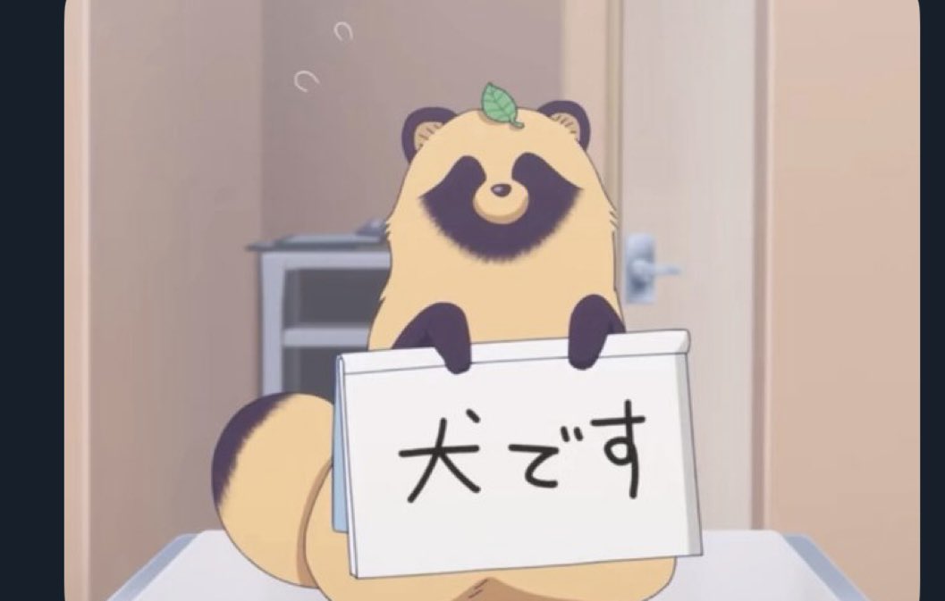 たまたま見かけた深夜アニメ。フリップ芸をする犬と言い張るタヌキが可愛い💕うちのワンコもフリップ芸してくれないかなと真剣に考えてみました😆最近クスッとしてない人にオススメします♪
＃雨と君と