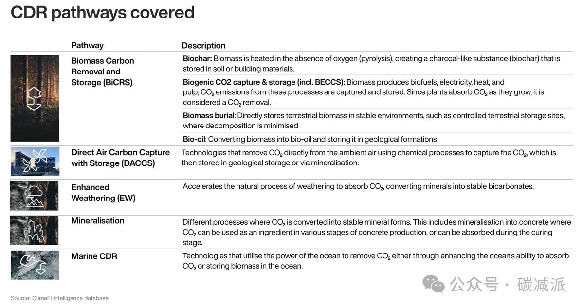 Gfforce Lab tweet media