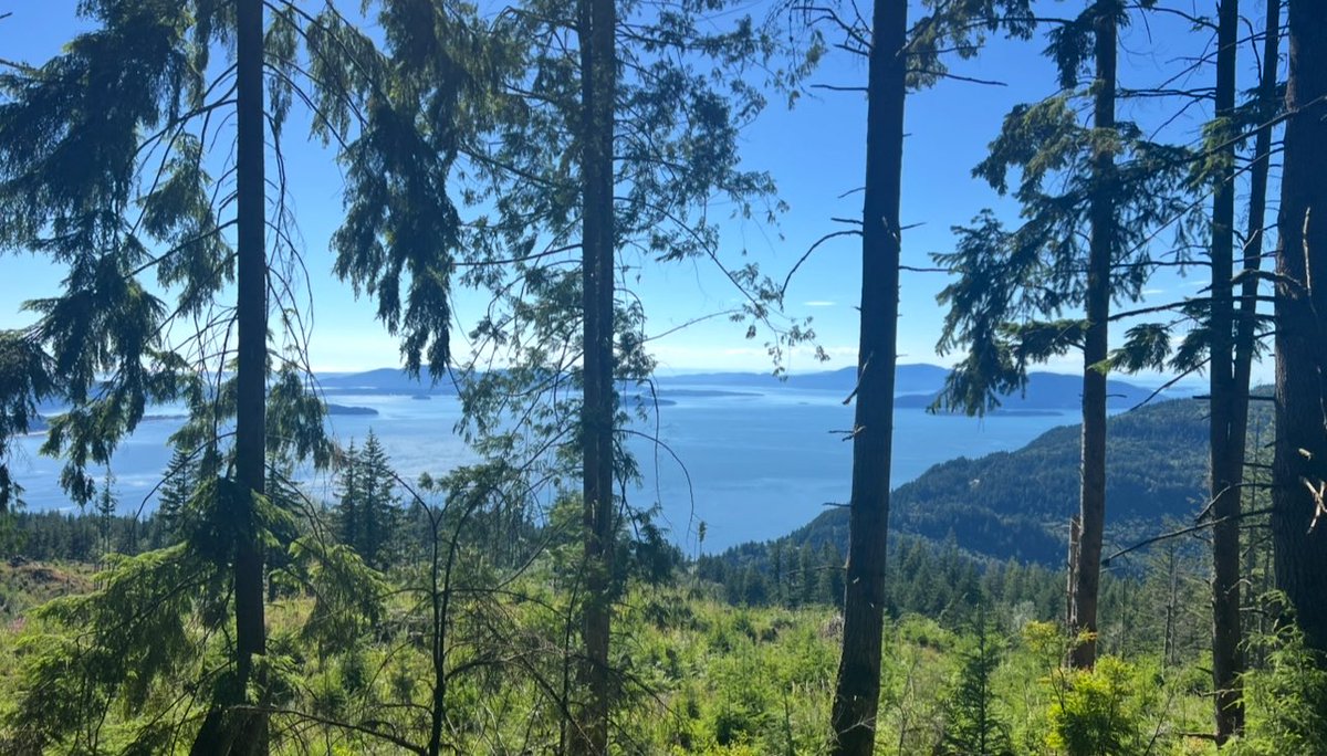 Back at it again! 
But for real we almost died… (9 miles, Oyster Dome Trail)