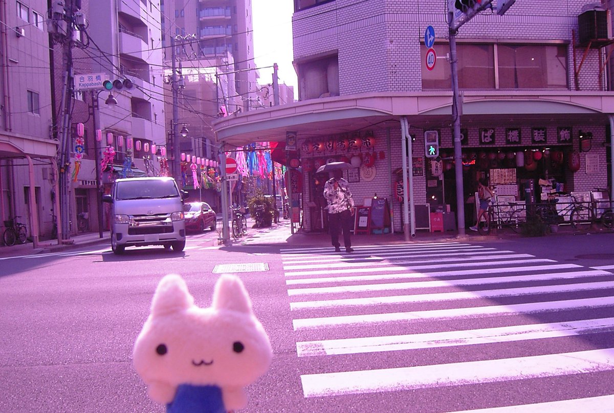 yumyumyamq's tweet photo. #やむねこちゃんと生活 https://t.co/RQZ9GNogRZ
