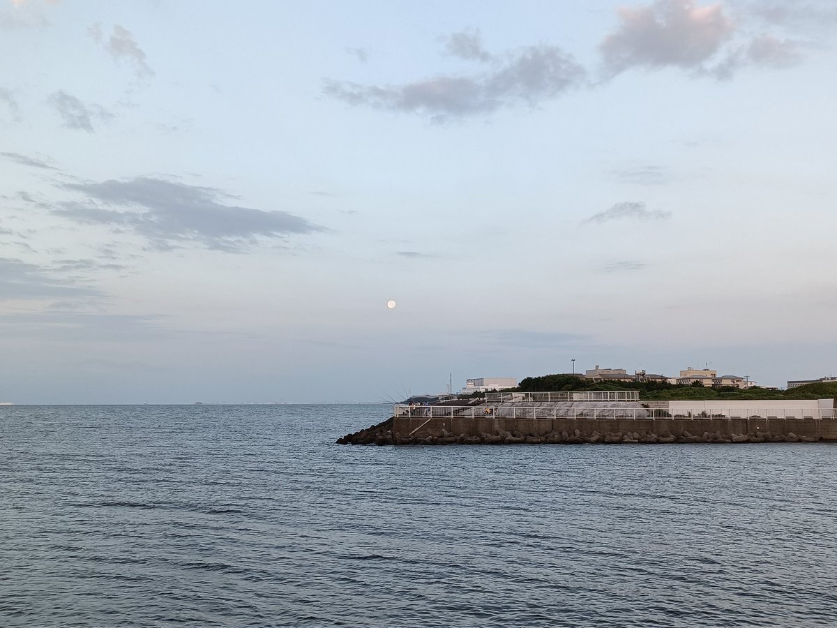 キスの終わりは
何時も７月１５日頃〜
８月は釣れないな〜
でも９月に入ると復活します。

次は秋サヨリ🎣の準備😃👀‼️