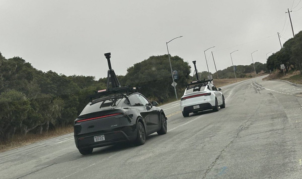 Nic Cruz Patane tweet media