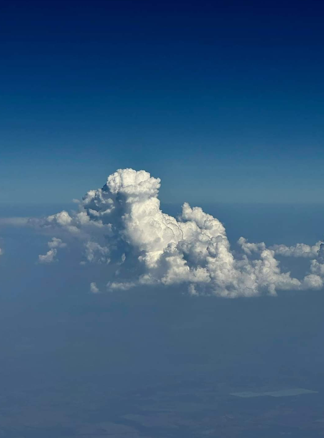 $TAONU I need a sign