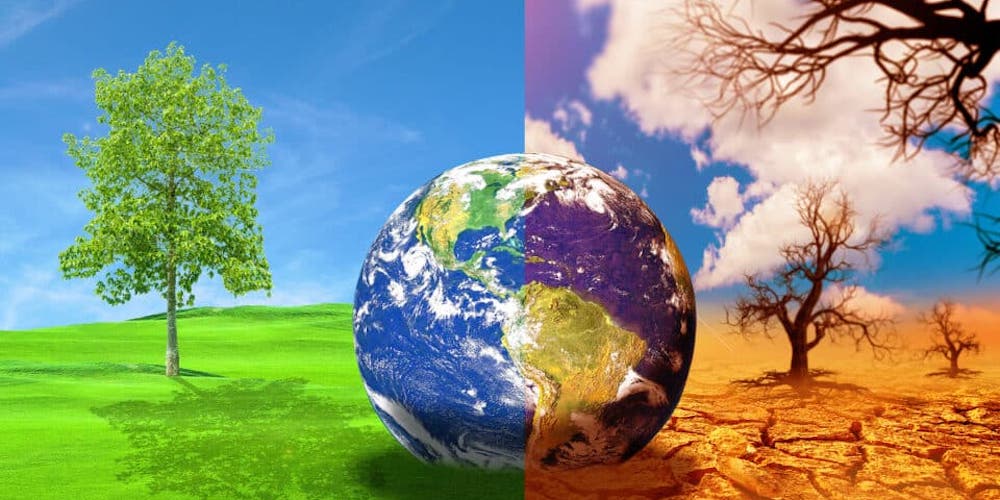 ACT NOW!
Environment encompasses all living and non living things around us, including air, water, land and various organisms. But we seem to care less and less for its upkeep. Let us restrict, if not control, Human Driven Climate Change.
READ MORE........
indiancentury.in/2025/07/14/fas…
