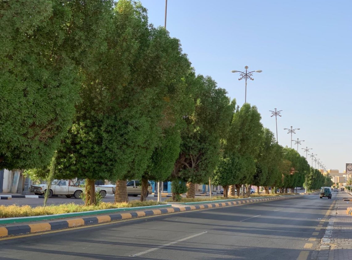 #مشاريع_جازان (@jazanprojects07) on Twitter photo نتمنى من أمانة منطقة #جازان والبلديات بالتوسع في عملية التشجير كمصدات  خاصة في الطرق السريعة والقضاء على المسافات المفتوحه لتخفيف الغبار حيث تساعد الأشجار على تنقية الهواء عن طريق امتصاص الغبار والملوثات في أوراقها وتقلل من انجراف التربة و تلطيف الجو وخفض الحرارة .
#مشاريع_جازان نتمنى من أمانة منطقة #جازان والبلديات بالتوسع في عملية التشجير كمصدات  خاصة في الطرق السريعة والقضاء على المسافات المفتوحه لتخفيف الغبار حيث تساعد الأشجار على تنقية الهواء عن طريق امتصاص الغبار والملوثات في أوراقها وتقلل من انجراف التربة و تلطيف الجو وخفض الحرارة .
#مشاريع_جازان